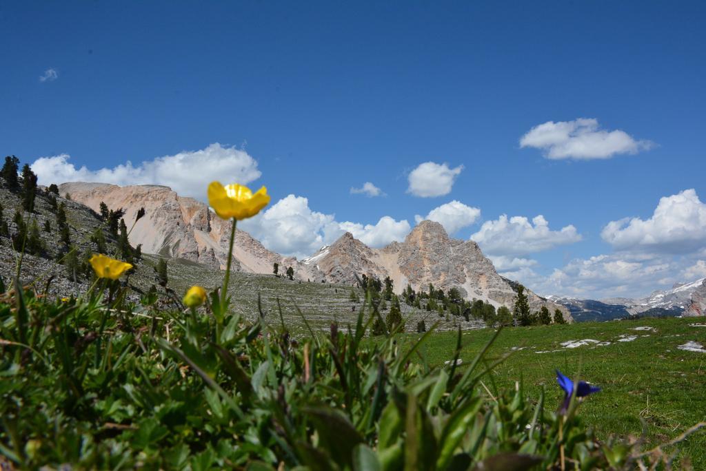 Hotel La Stua San Cassiano  Esterno foto